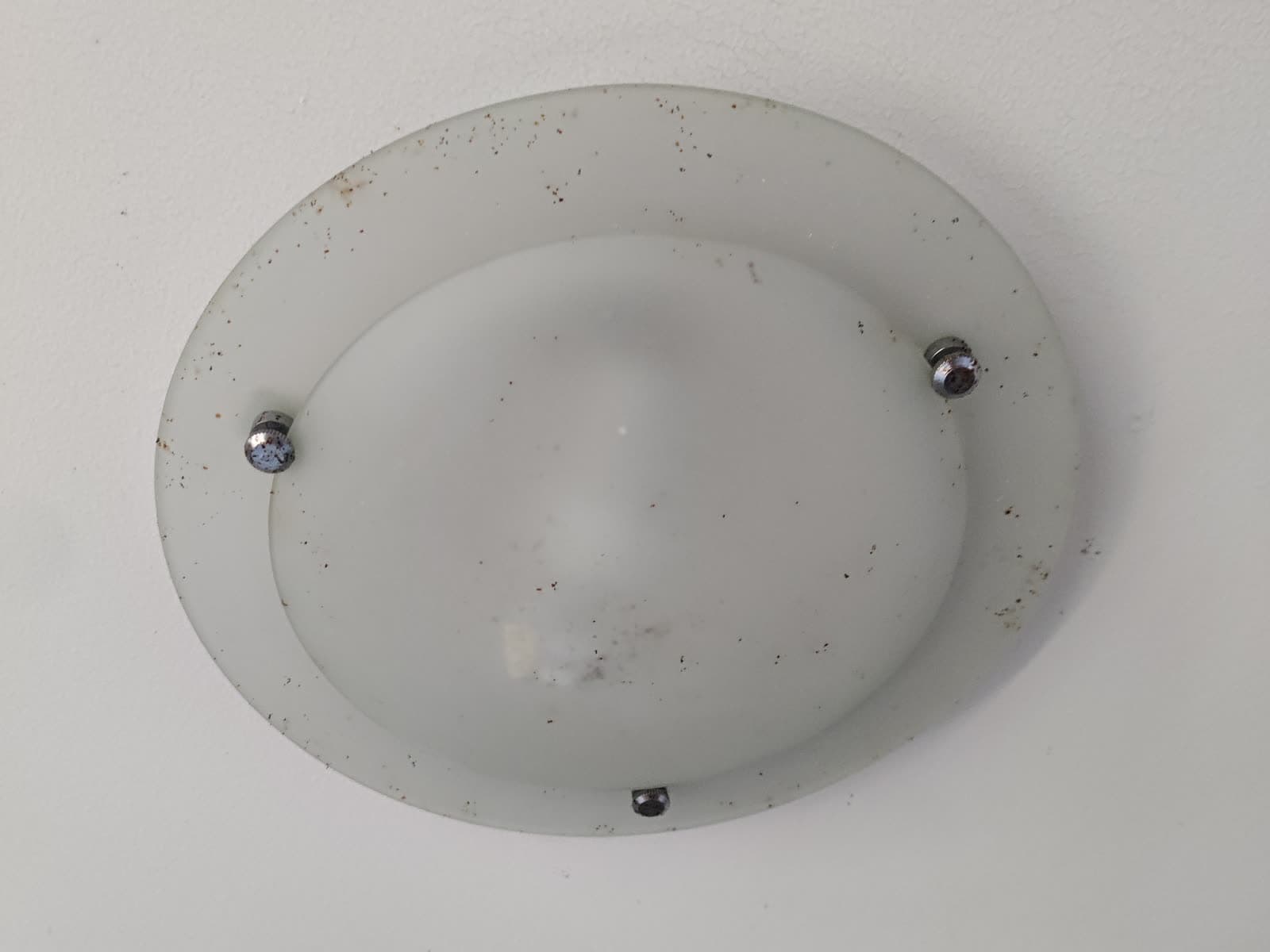 Glass ceiling light speckled with dust and insects before cleaning