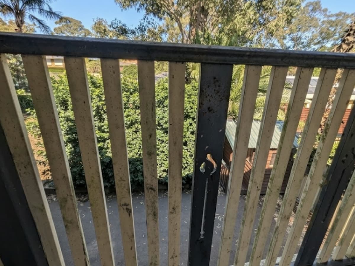 Timber balcony railing streaked with mould and green growth before cleaning